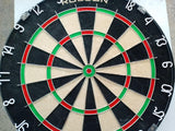 Clearance - Rusted Wire Spectra Dartboard